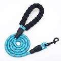 Dog Leash with Soft EVA Padded Handle and Reflective Threads - 1.5m